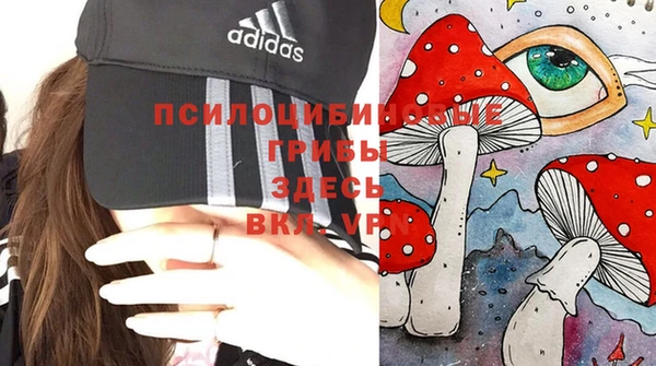 тгк Саяногорск