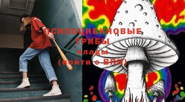 ECSTASY Мегион