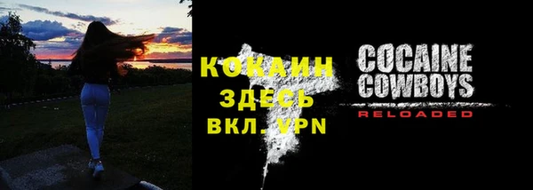 дживик Билибино