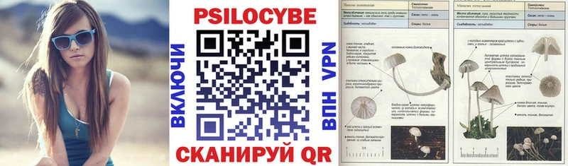 Псилоцибиновые грибы Psilocybe Кущёвская